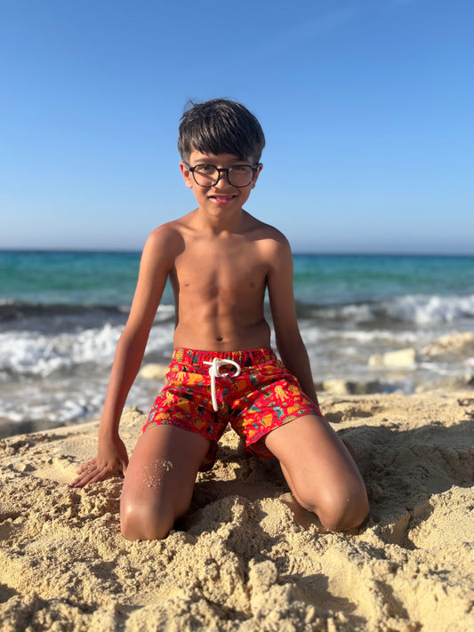 Tut & Tide Boy Swimsuit