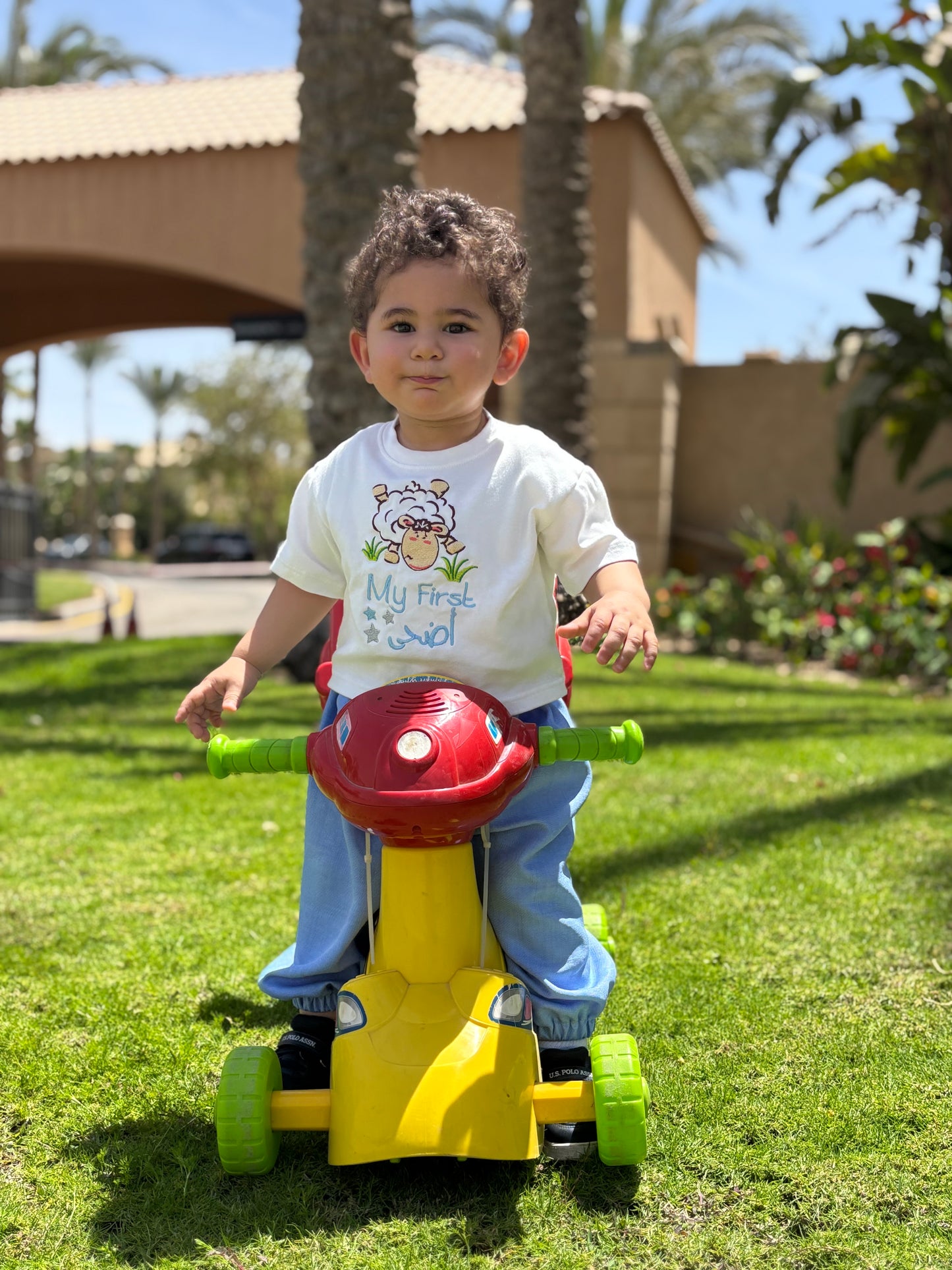 Blue Sheep First Ad7a T-Shirt